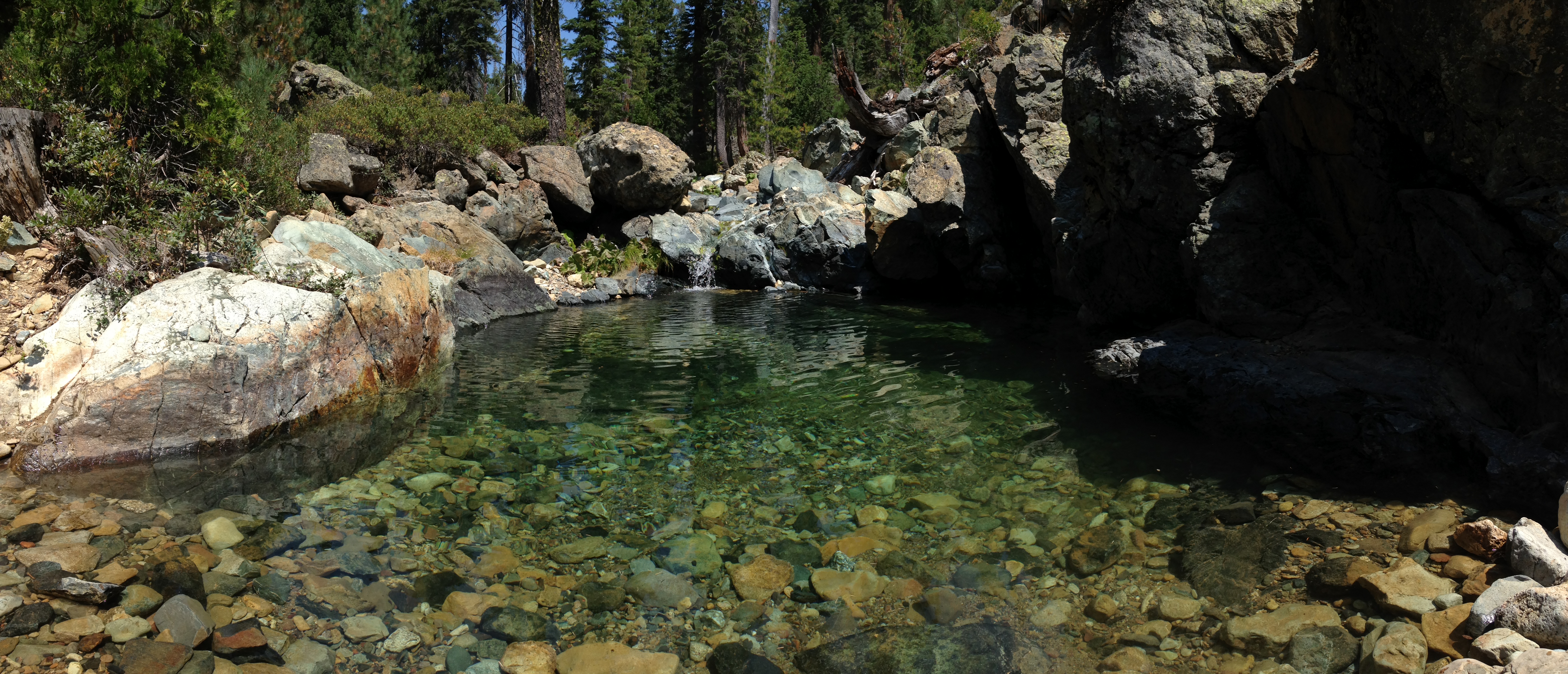wedding venue swim